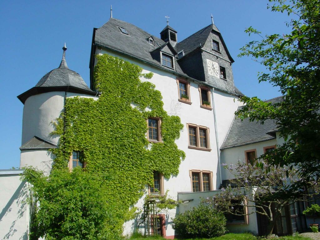Mehr über den Artikel erfahren Burg Cleeberg