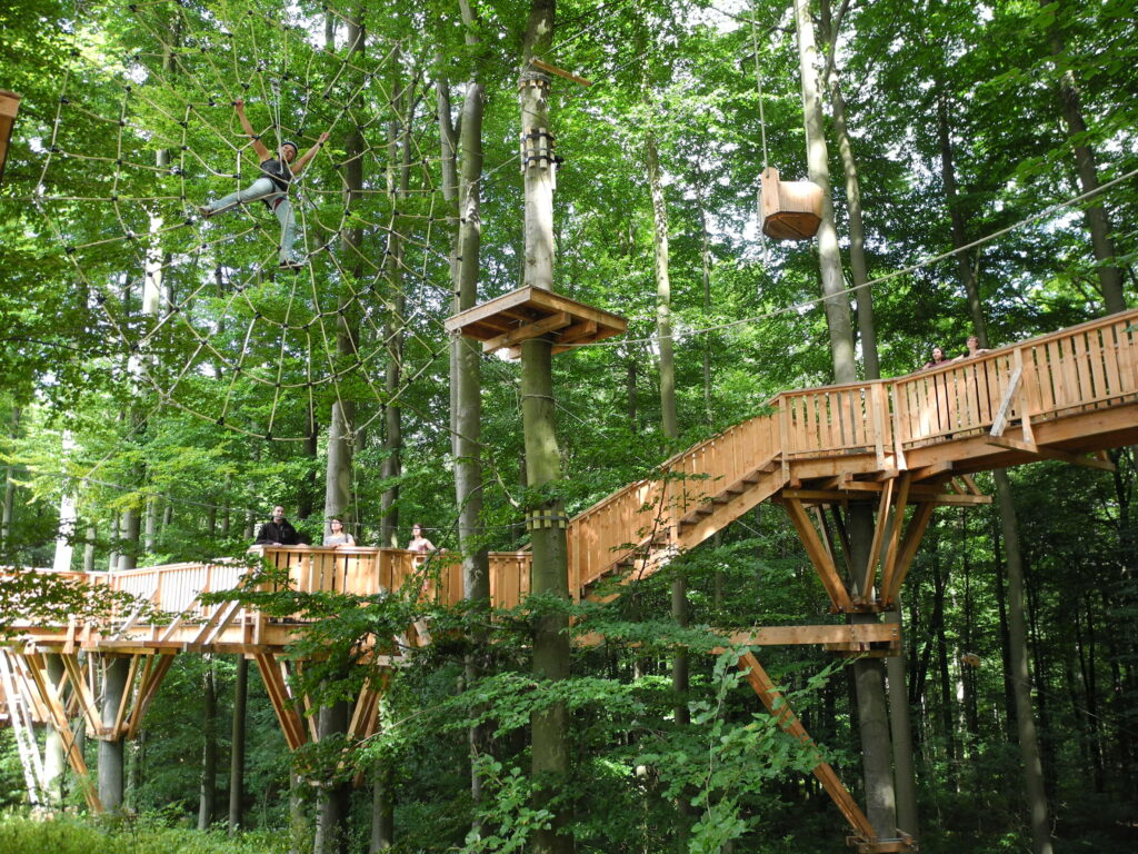 Mehr über den Artikel erfahren Kletterwald