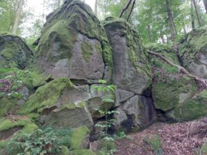 Mehr über den Artikel erfahren Die Wilden Leute und der Brauneisenstein